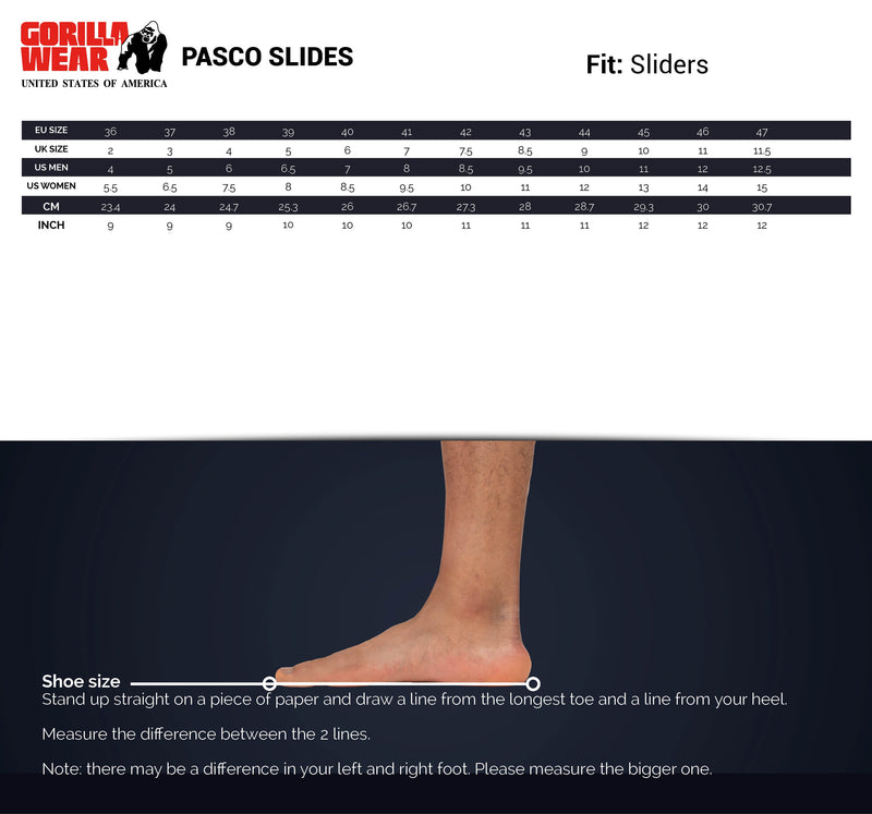 Load image into Gallery viewer, Pasco Slides - Black - Unisex
