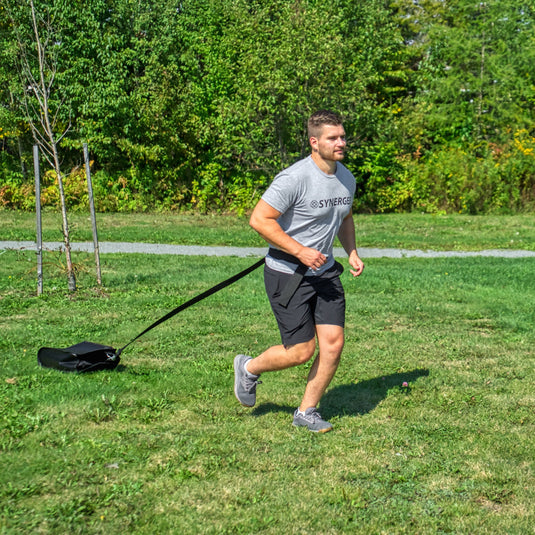 Synergee Weight Sled