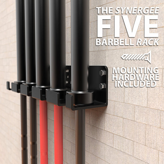 Synergee Vertical Barbell Wall Storage Racks – Living.Fit