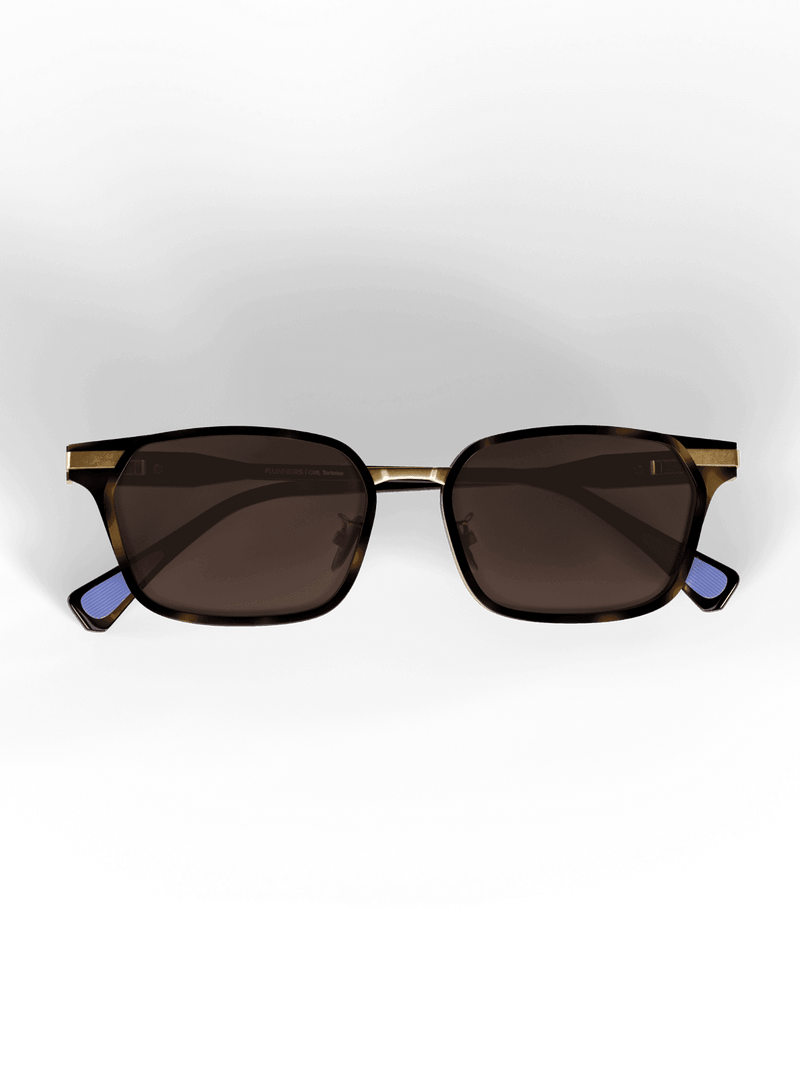 Load image into Gallery viewer, Tortoise Rectangulars
