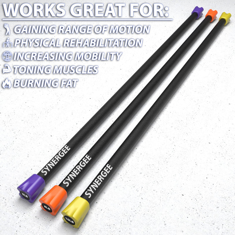 Load image into Gallery viewer, Synergee Weighted Workout Bars
