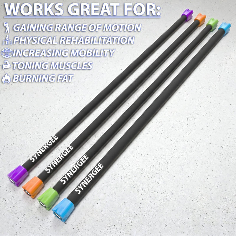 Load image into Gallery viewer, Synergee - Synergee Weighted Workout Bars
