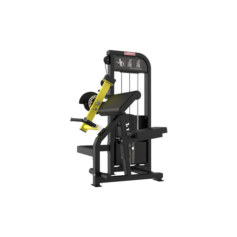 Load image into Gallery viewer, SFE - Commercial Bicep &amp; Tricep Combo Machine (New)
