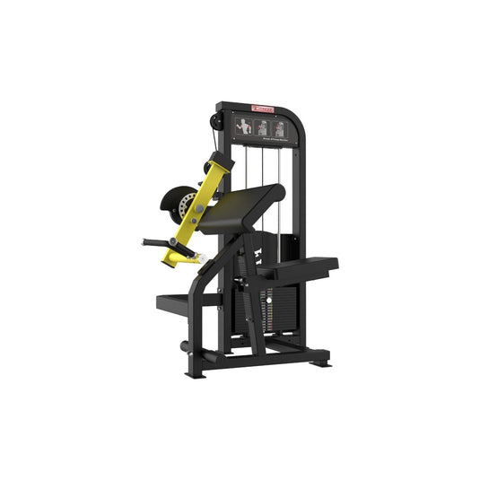 SFE - Commercial Bicep & Tricep Combo Machine (New)