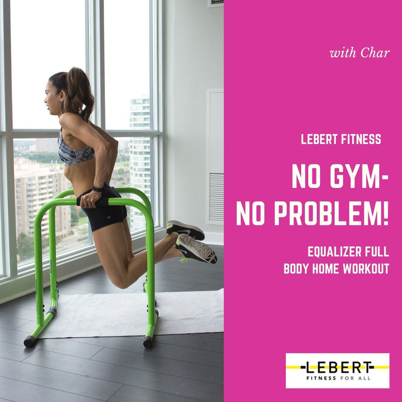 Load image into Gallery viewer, No Gym-No Problem! EQualizerr Full Body Home workout Video Download
