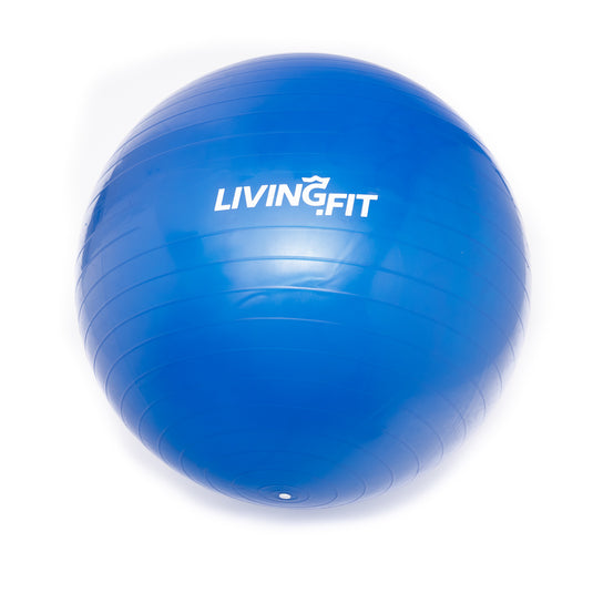 Life Fitness Red 55cm Stability Ball