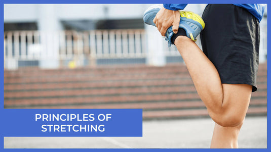 Principles of Stretching Course